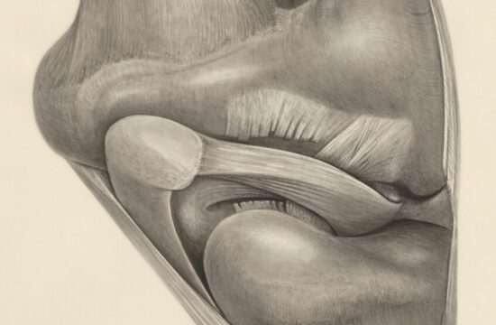 europeana-U2hTF2KRZSk-unsplash